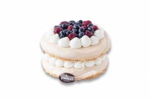 Tort Pavlovej